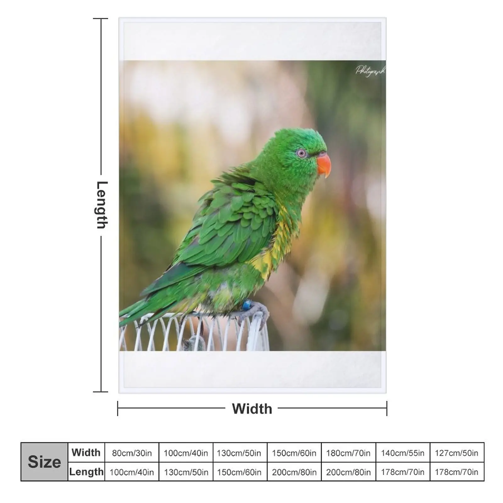 Scaly breasted lorikeet 55 Throw Blanket Cute Designers Blankets