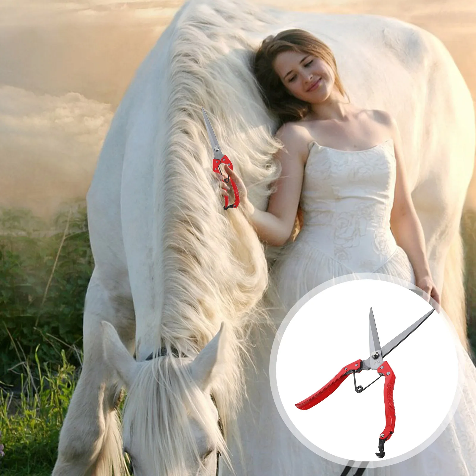 Farm Wool Scissors Hair Cattle Shearers Goat Show Supplies Bridegroom Sheep Tools