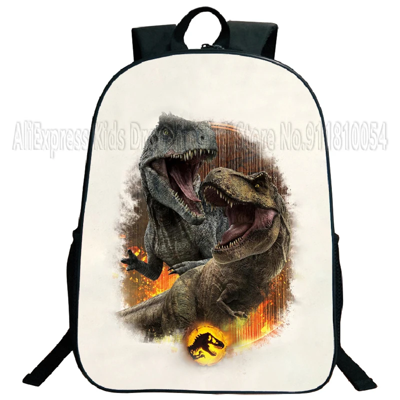 Sac à dos de dinosaure pour étudiants, sac à dos de dessin animé de Dragon Mochila pour enfants garçons filles, sacs à bandoulière pour ordinateur