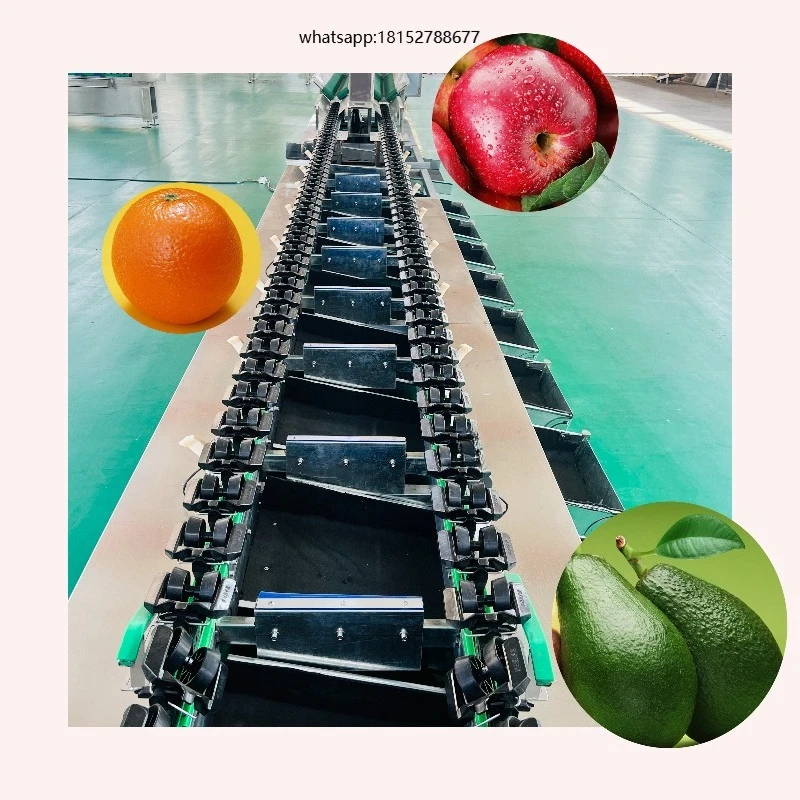 Hot Selling High Efficiency Industrial Automatic Grading Machine Fruit Sorter Machine