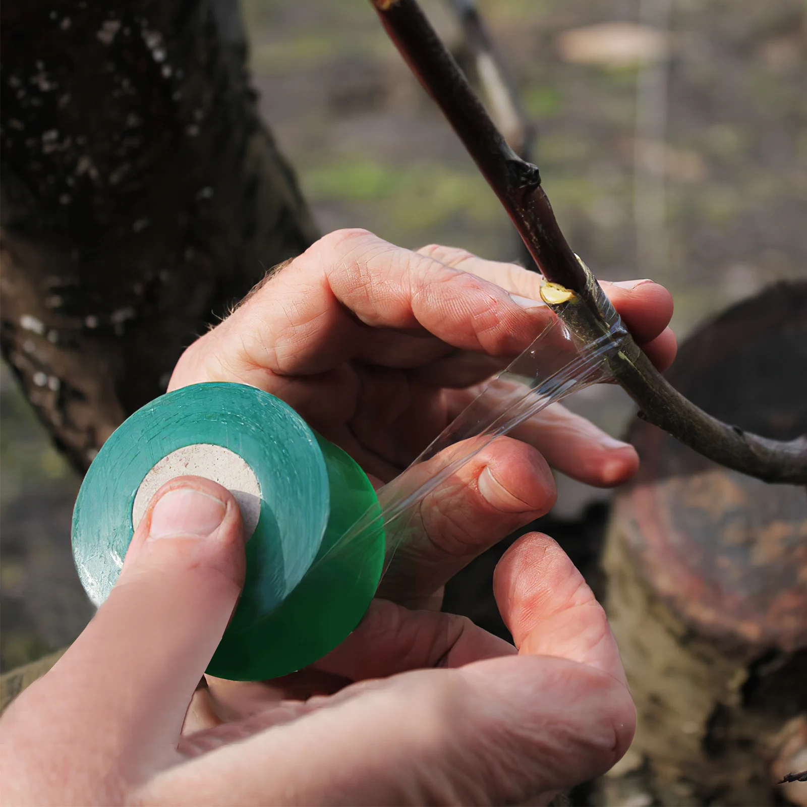 

Fruit Tree Grafting Tapes 2 Rolls Pvc Green 3cm Pe 3cm Plant Repair Tape Good Sealing Prevents Harmful Substances