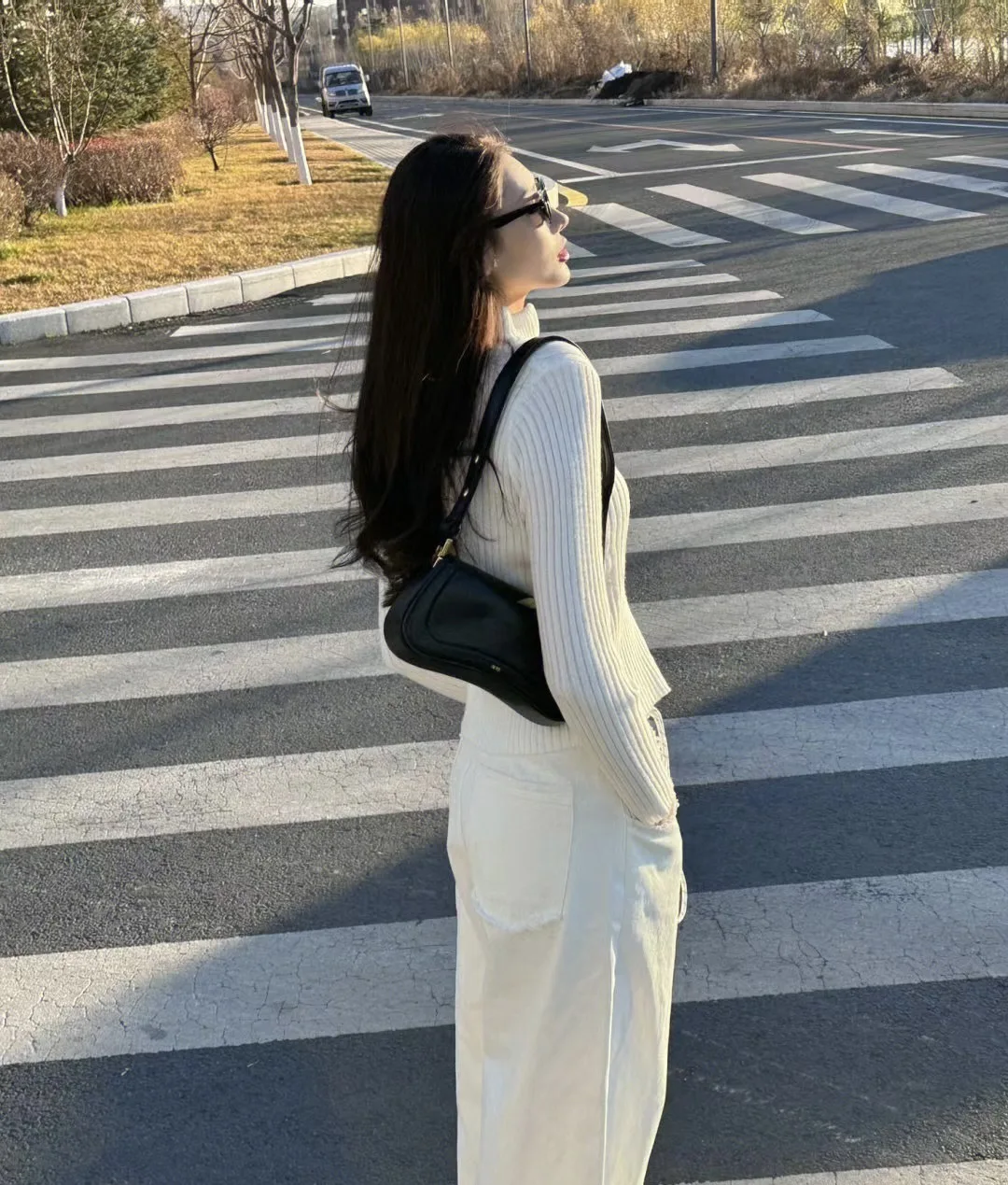 JW PEI Pudding Bag, French Style, Niche Bag, Women's, High-End, Simple, Underarm, Crossbody Bag
