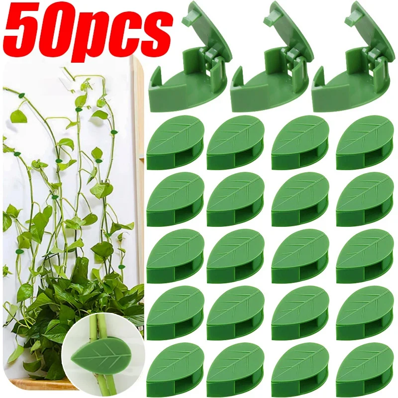 50/10 PCS Green Plant Fixator Rattan Vine Fixed Buckle Leaf Clips Wire Organizer Household Non-trace Climbing Wall Line Device