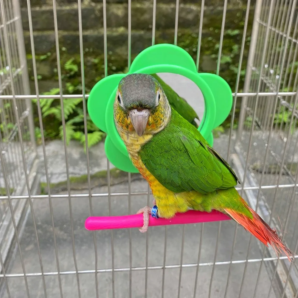 Flower Shape Bird Mirror Perch Plastic Material Colorful Design Bird Cage Mirror Acrylic Material Standing Structure
