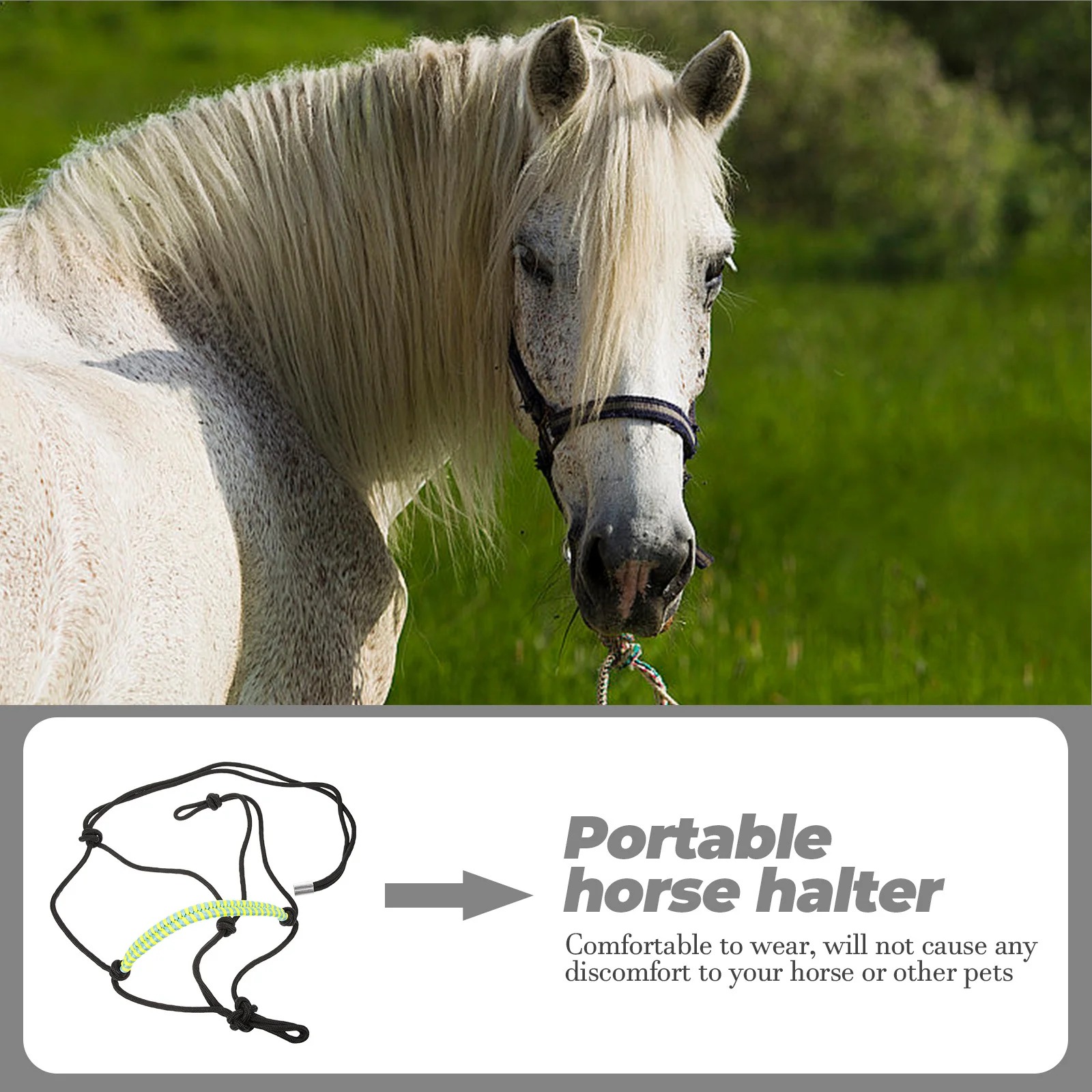 Comfortable Wear-Resistant Horse Halter Nylon Material Best Choice for Outdoor Horsemanship Show Portable Horse Halter