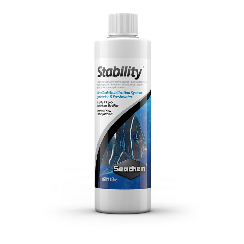 High efficiency of marine chemical nitrifying bacteria