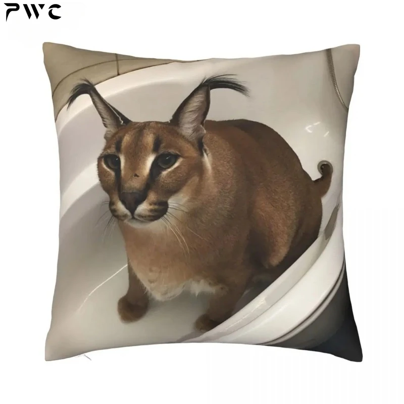 Cute Meme Cushion Cover 40x40 Home Decor Dakimakura Funny Caracal Cat Throw Pillow Case for Living Room Housse De Coussin