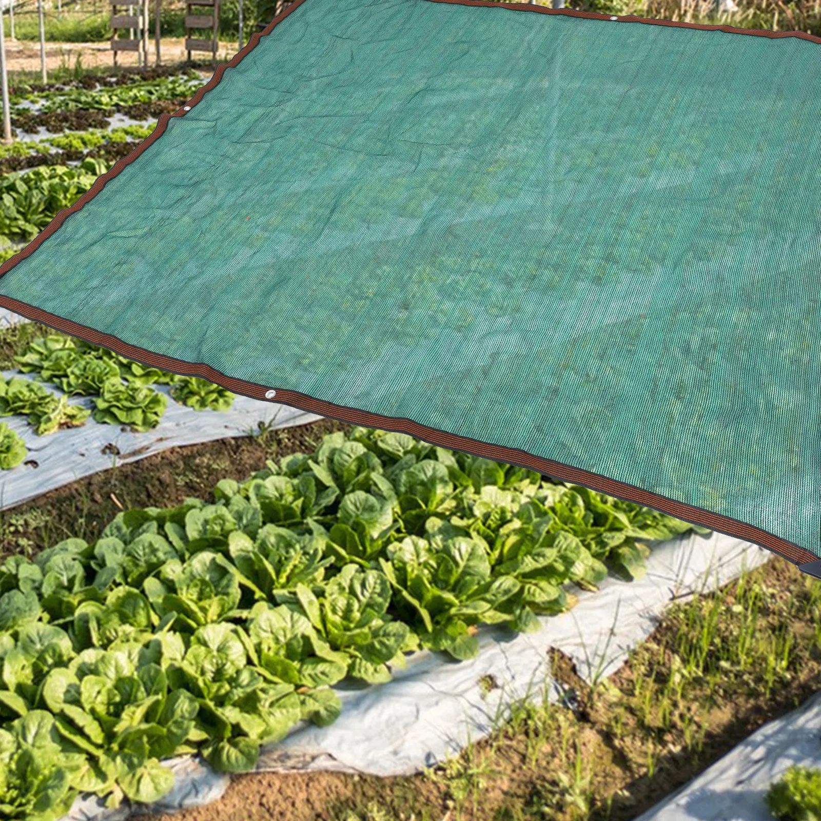 

Shade Cloth Garden Plant Sunshade Cover Large Balcony Sun Shade Cloth Sun Blocking Heat Resistant Outdoor Tarps for Plants