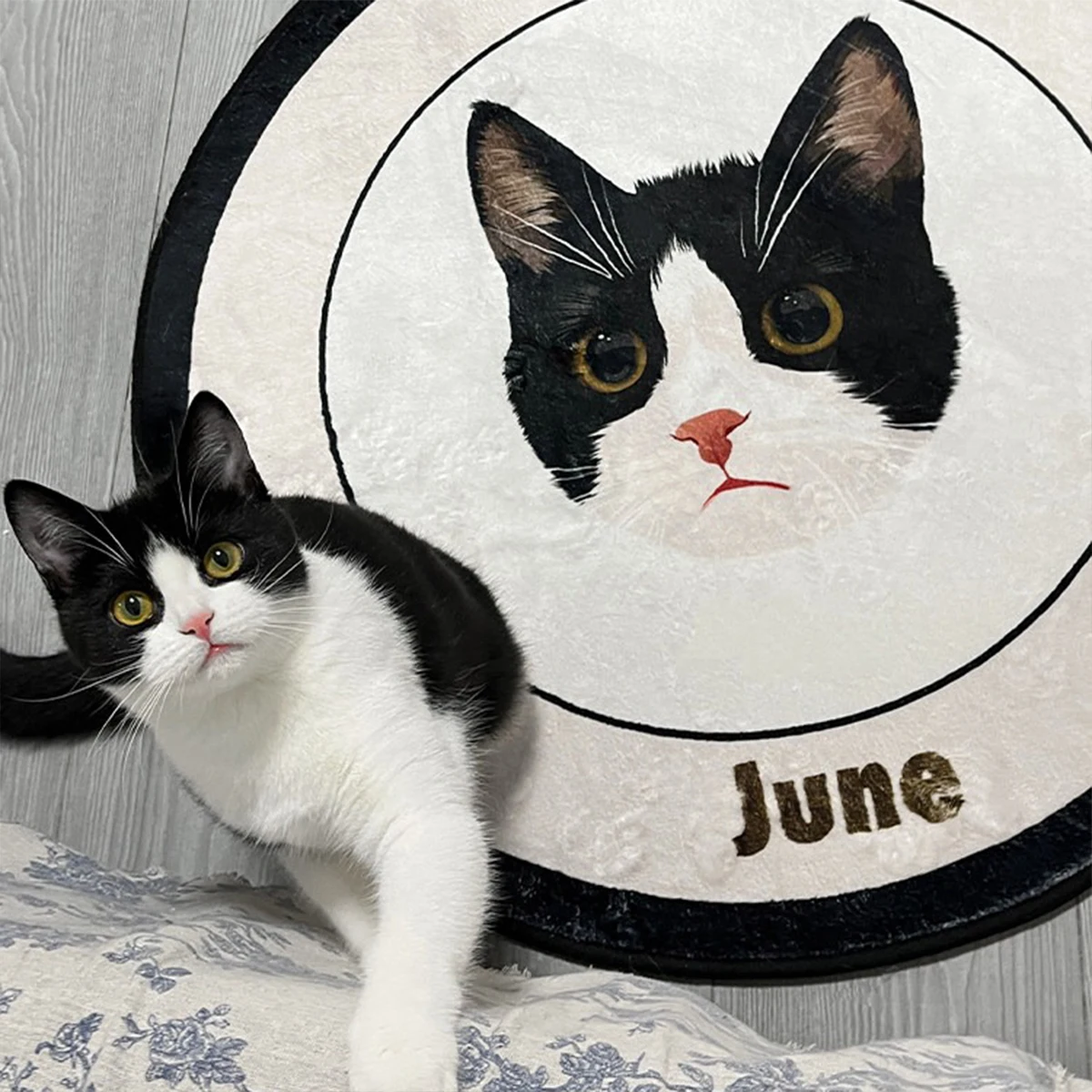 Custom Pet Portrait Carpet Round Rug Faux Cashmere Machine Washable Floor Mats Creative Design Living Room Bedroom Rugs Decorate