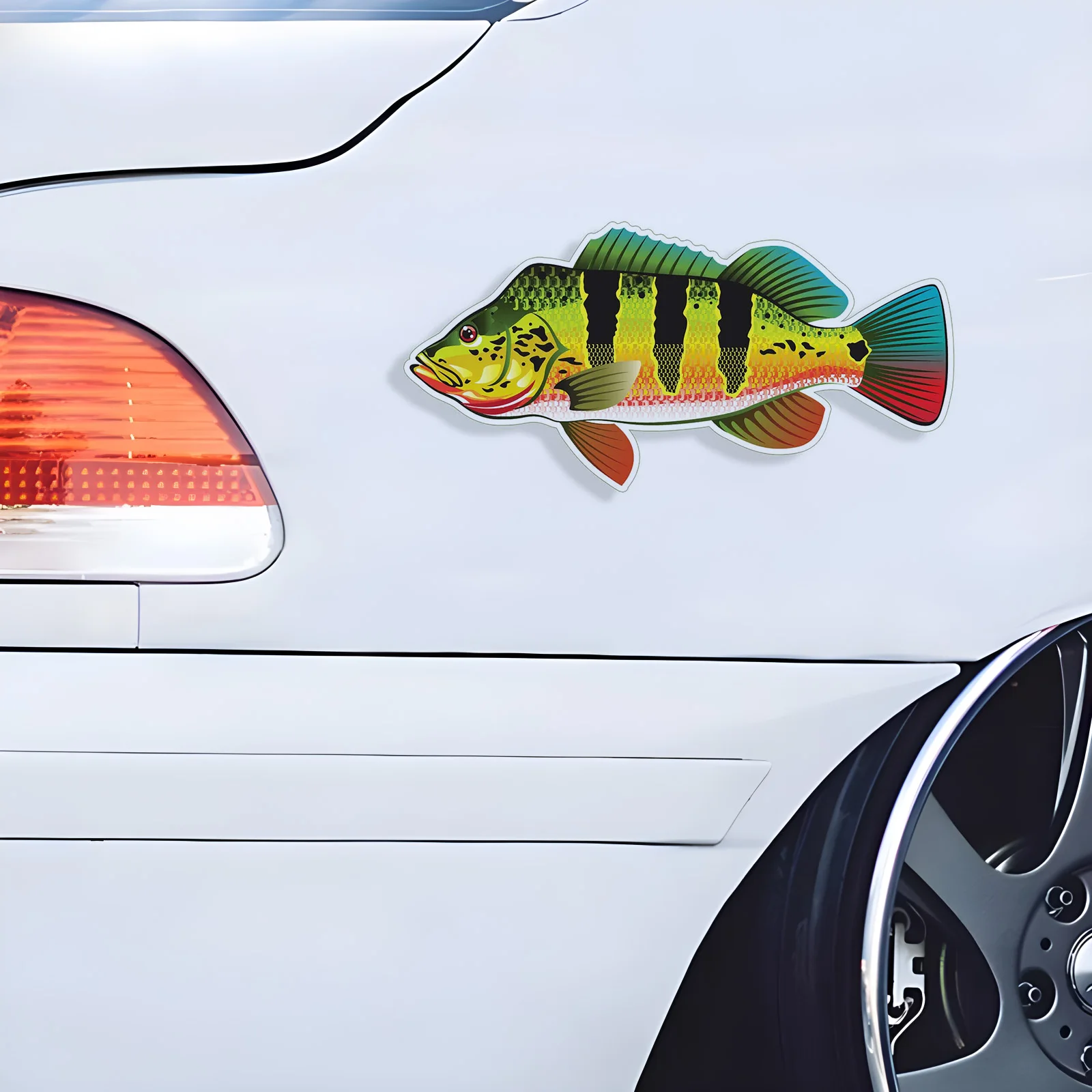 70111# Peacock Bass Car Stickers Scratch Blocking Self-Adhesive Waterproof Decal, Used for Car, Laptop, Motorcycle, Van, RV