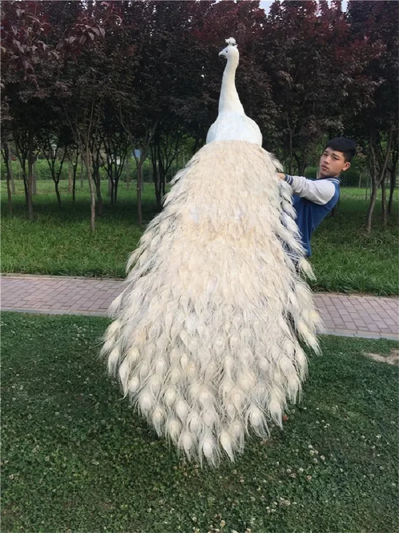 large simulation beautiful peacock model foam&feather big white peacock bird gift about 200cm xf2888