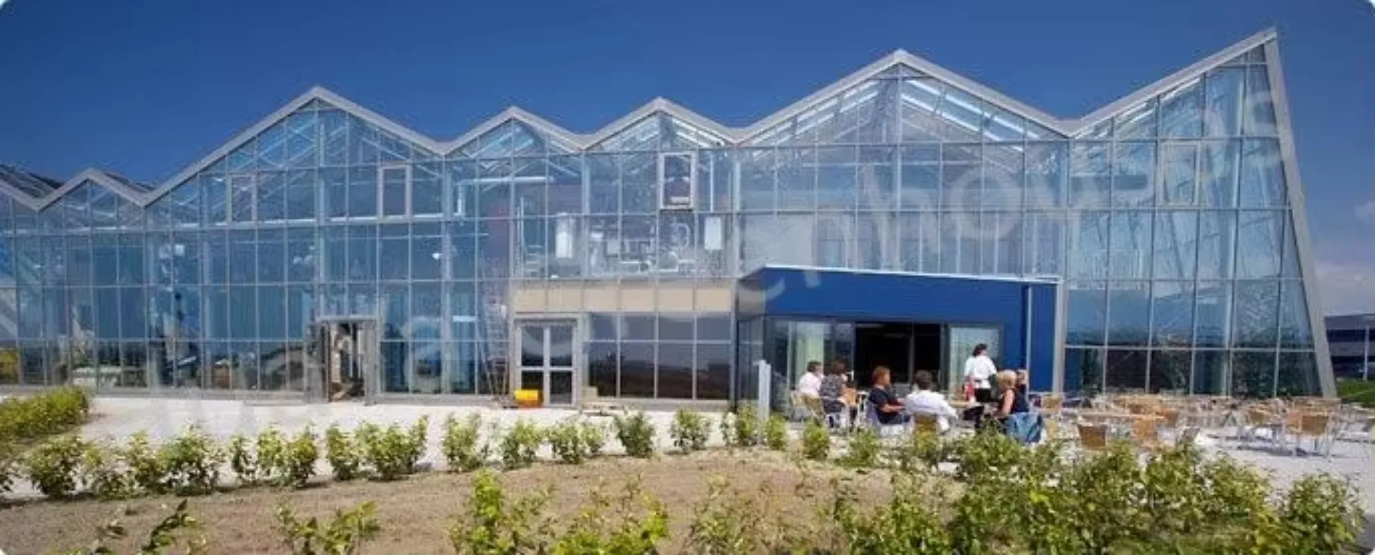 الدفيئة الزجاجية على شكل خاص للإنتاج الزراعي، الهندسة المعمارية القابلة للتخصيص لزراعة الخضروات والفواكه #5