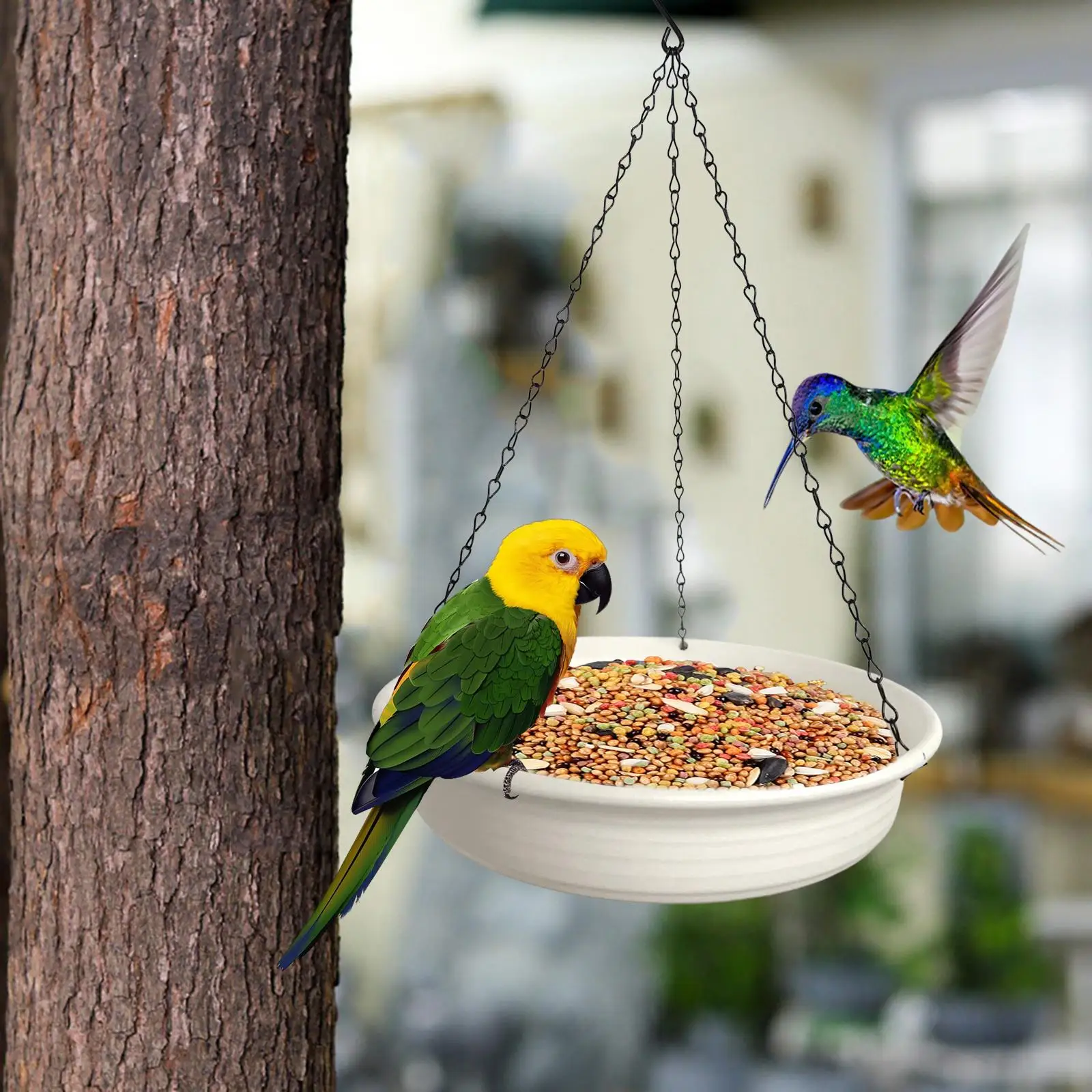

Bird Water Bowl Plate Tray Dish Decor Bird Feeding Dish Wildbird Feeder Bird Feeder for Hummingbird Tree Outdoor Yard Garden