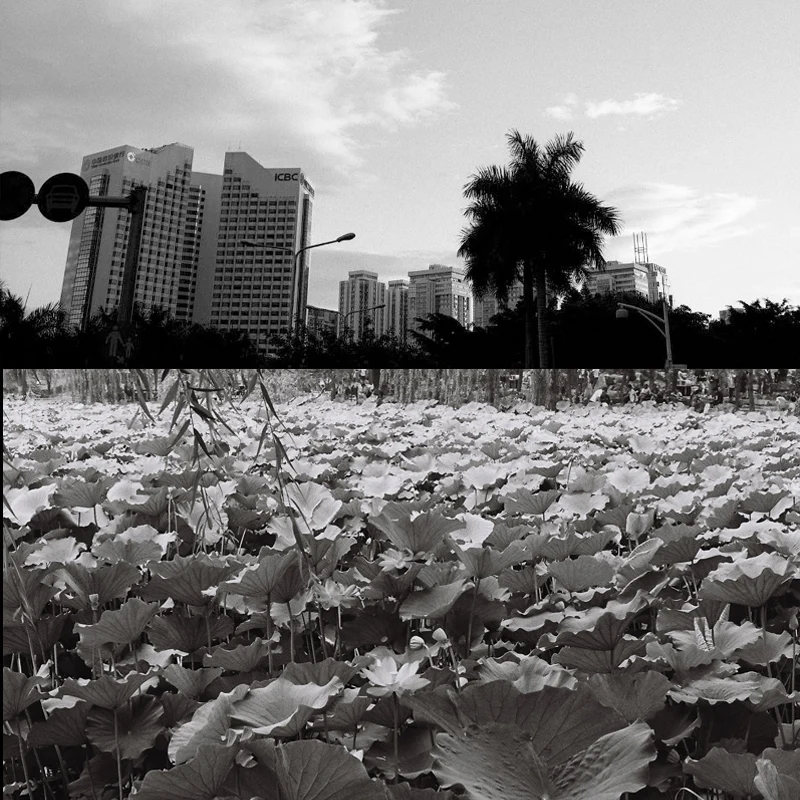 20/40/60Sheets Photo Paper for Polaroid Instax 2x3" ZINK Film For Polaroid Snap Touch Z2300 SocialMatic Instant Printer