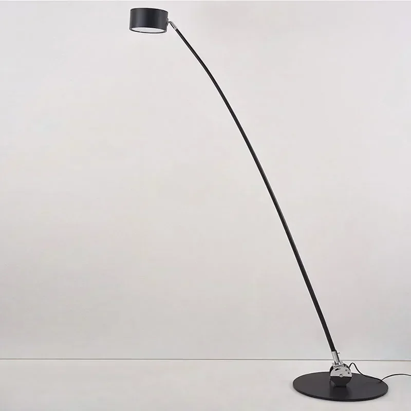 Modern Minimalist Floor Lamps Nordic LED Corner Light Arc Floor Lamps Black Stand Light for Living Room Decor Fishing Floor Lamp