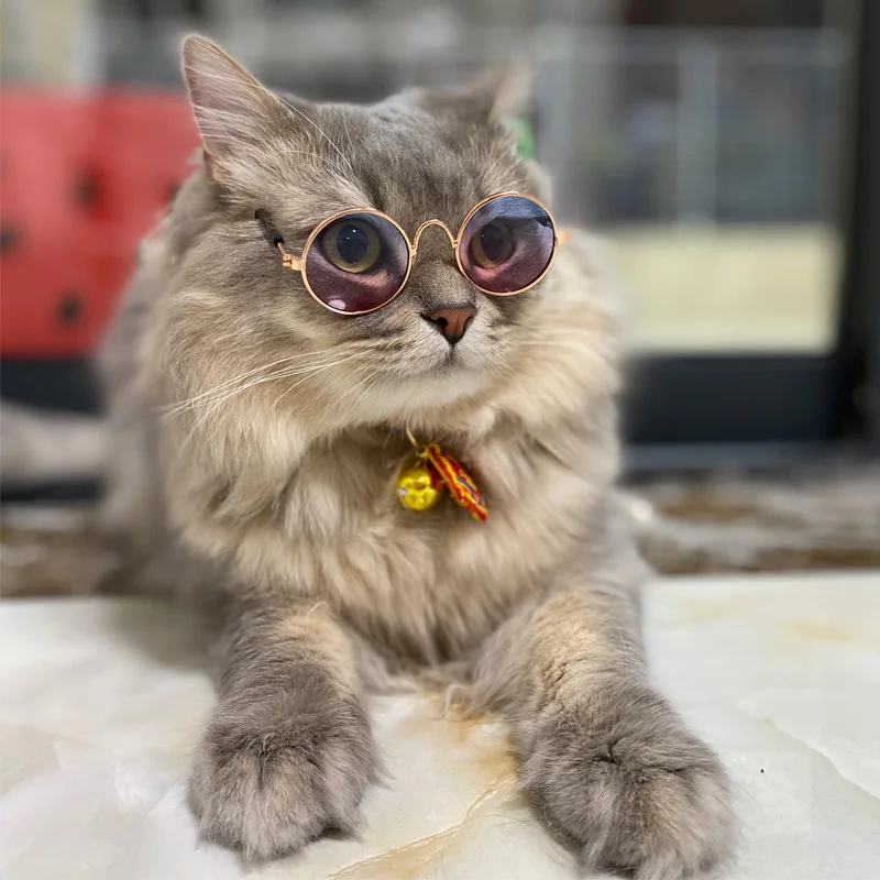 Vintage Round Cat Sunglasses Reflection Eyewear Glasses Pet Products for Dog Kitten Dog Cat Accessories for Small Dogs