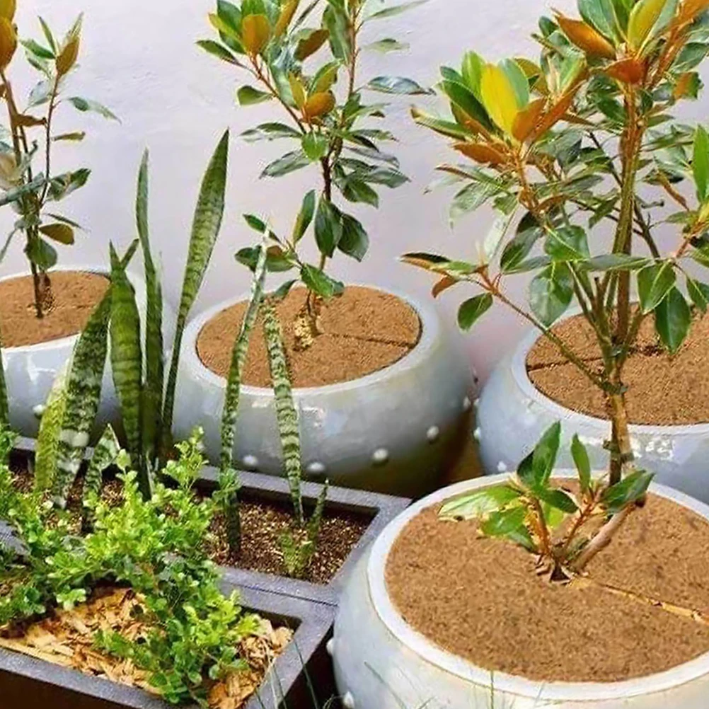 

6Pcs Coconut Fiber Flower Pot Mats Round Coir Mulch Rings Plant Protection Frost Insulation Plant Cover Mulch Mat