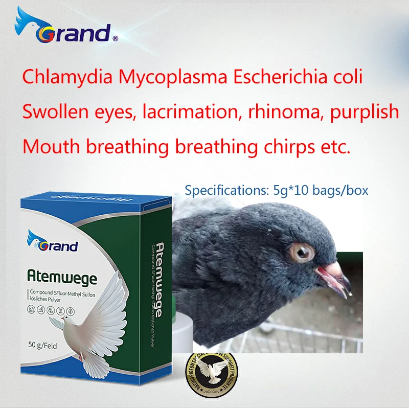 

German Original Imported Respiratory Tract Cleaning Cough, Wheezing, Phlegm, Chlamydia, One Eye, Tears, Cold and Cold