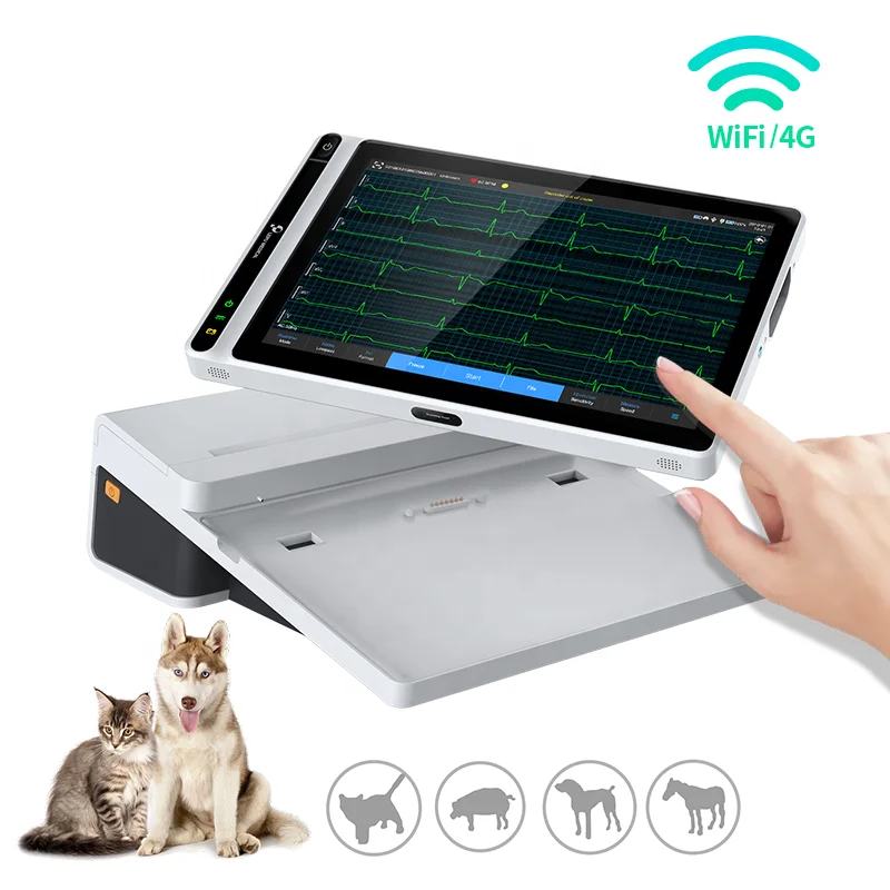 Pet Electrocardiogram 3 12 Channel ECG Machine VET Electrocardiograph Animal Veterinary ECG