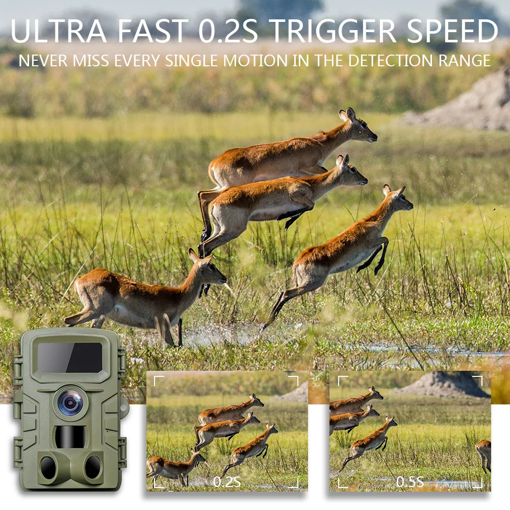 

4K video 48MP PR701 Wildlife IR Hunting Camera Trap Fast Trigger Time IP66 Waterproof for Outdoor Wildlife Security Monitoring