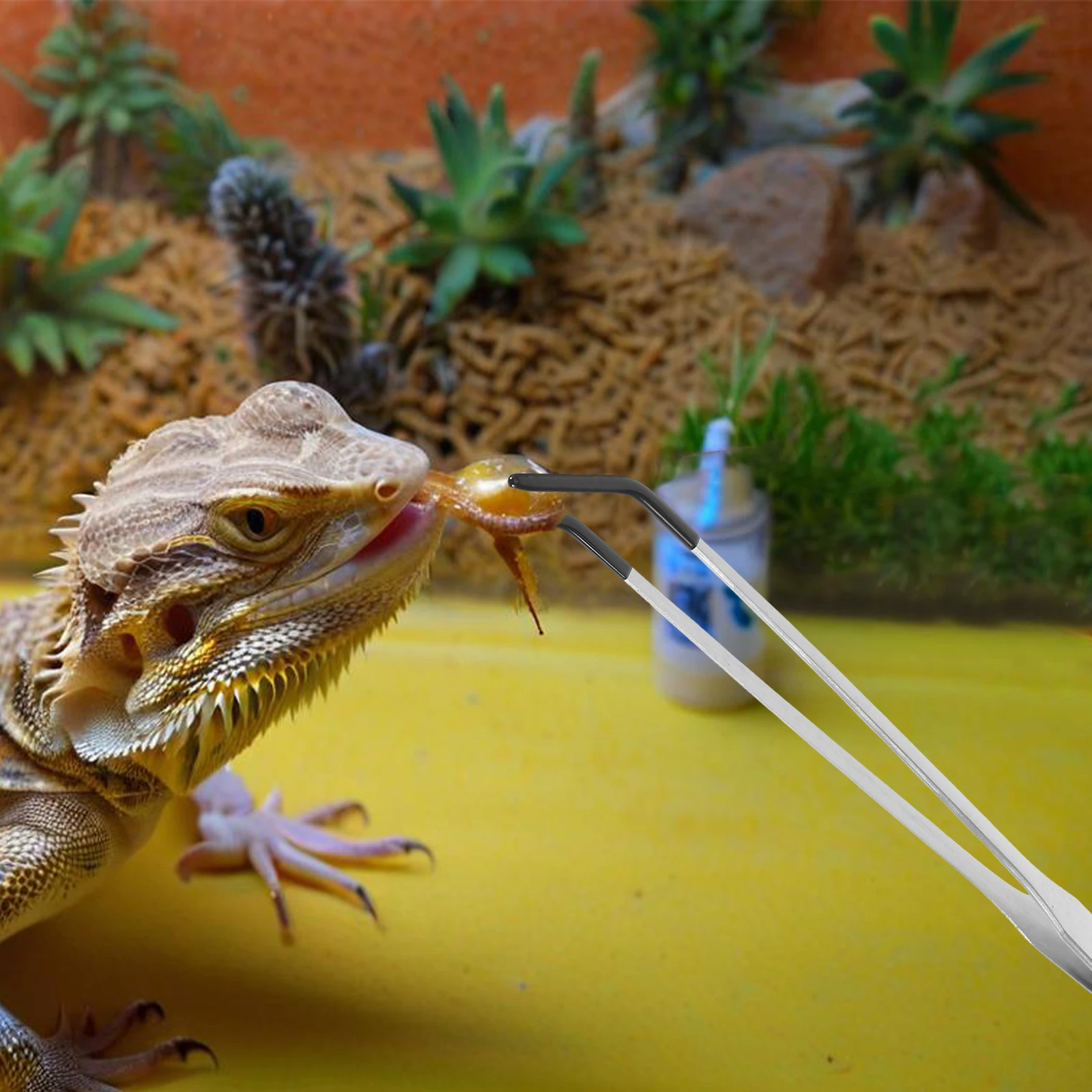 2 قطعة ملقط تغذية الزواحف الفولاذ المقاوم للصدأ المطاط نصائح منحني ملاقط طويلة لثعبان الهامستر أبو بريص حوض السمك تررم لوازم