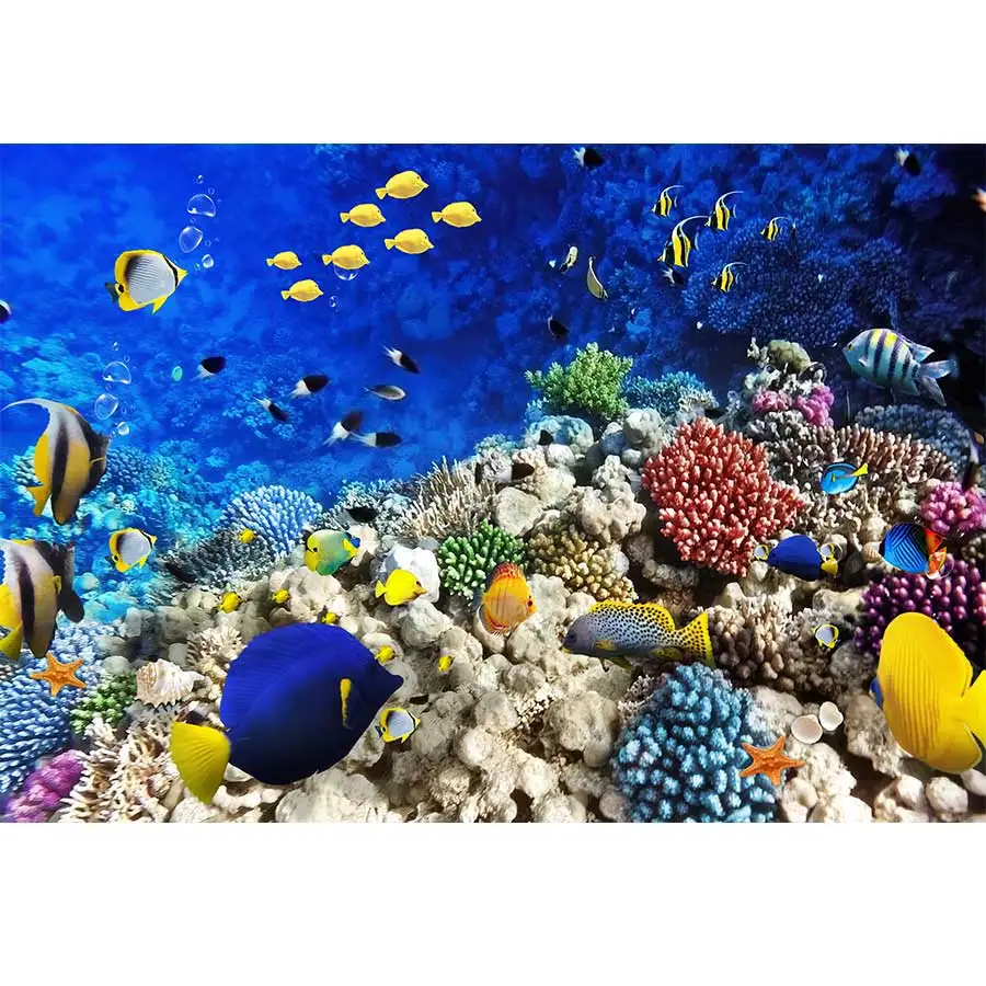 Oceaan Mariene Groei Onderwater Wereld Fotografie Achtergronden Koraalzeesterren Aquarium Vissen Verjaardagsfeestje Decor Achtergronden Banner