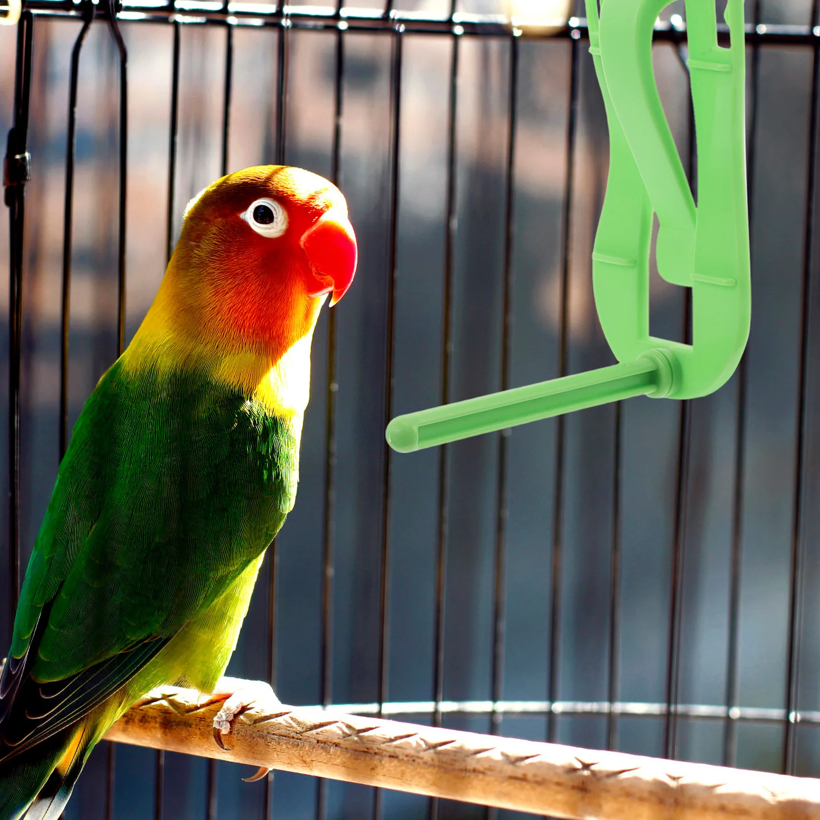 

20pcs Vegetable Clips Parrot Fruit Feeder Holder Cage Perch Stand Bird Food Clip Chicken Skewer Feeder Parakeet Cage Accessory