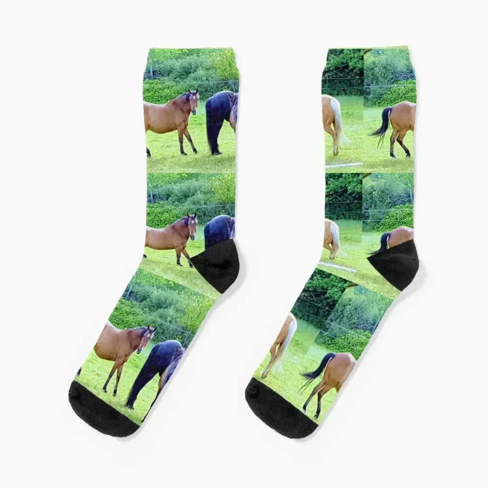 

Horses on wonderful Whidbey Socks gifts Sports hiking Ladies Socks Men's new year anti-slip golf Male Socks Women's