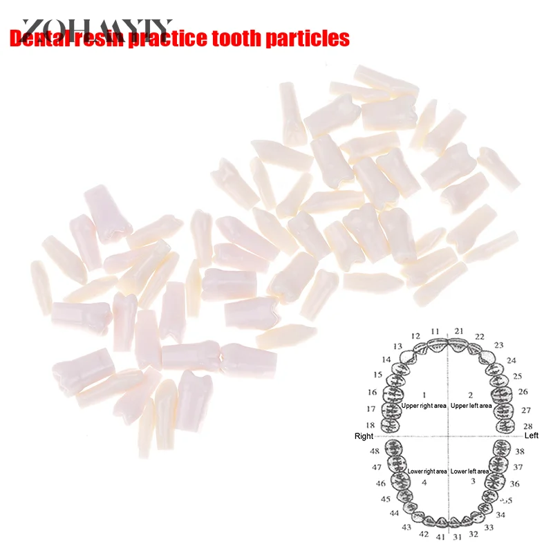 Стоматологическая модель зубов для подготовки, модель с одним зубом, подходит для стоматолога, Обучающие модели из смолы
