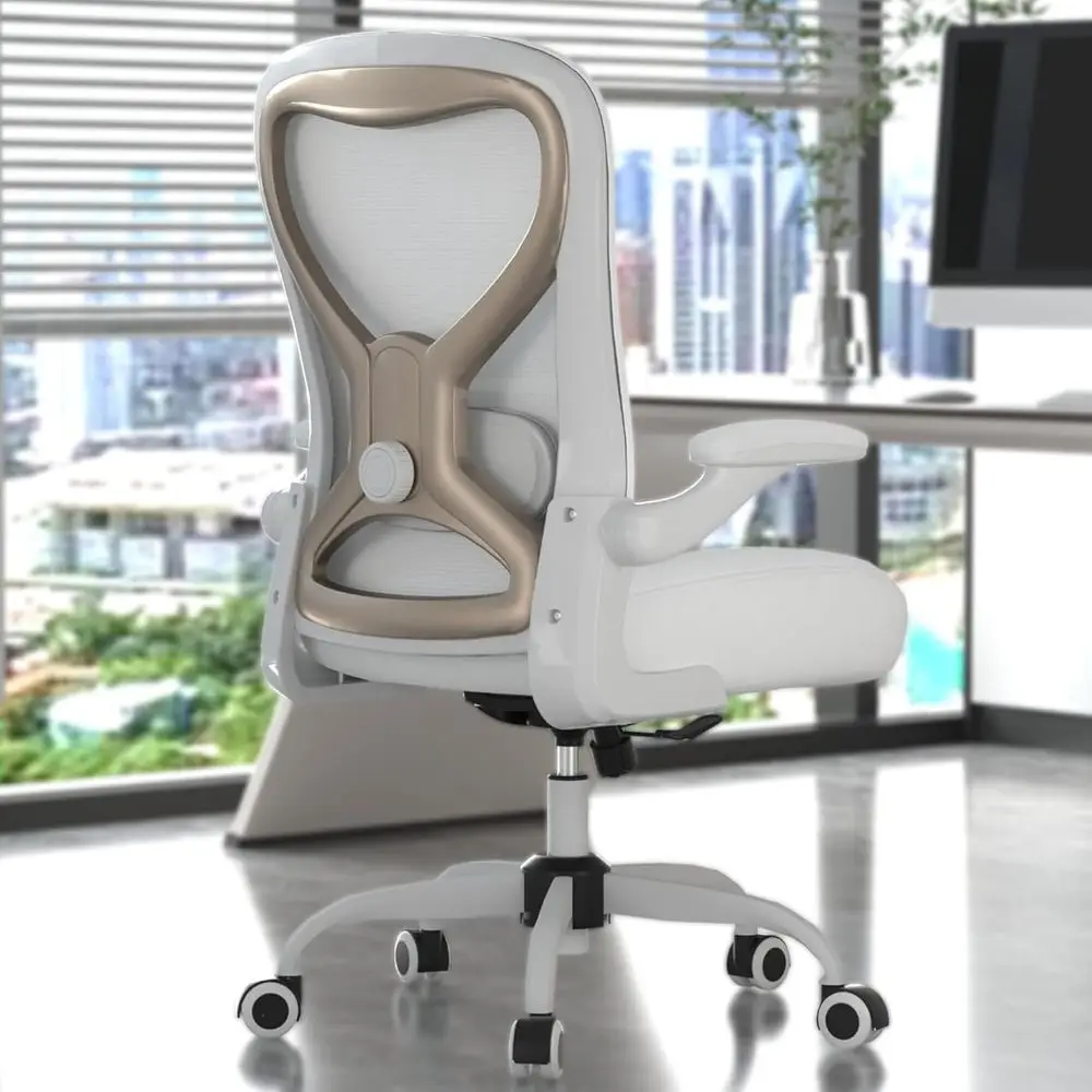Oice Desk Chair with Ergonomic Lumbar Support, Extra-Thick Seat Cushion, lip-up Arms, Breathable Mesh Back, Computer Task Chair