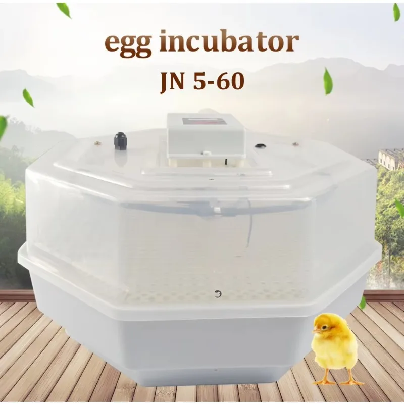 

Cheap Price 98% Hatching Rate Automatic Egg Small-sized Incubator Incubator of 60 Eggs Farm School Lab Use