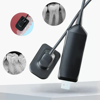 SJD-C31 Medical Portable Digital Wireless Hi h Frequeny Imaging System Dentl Intraoral X Ray Sensor