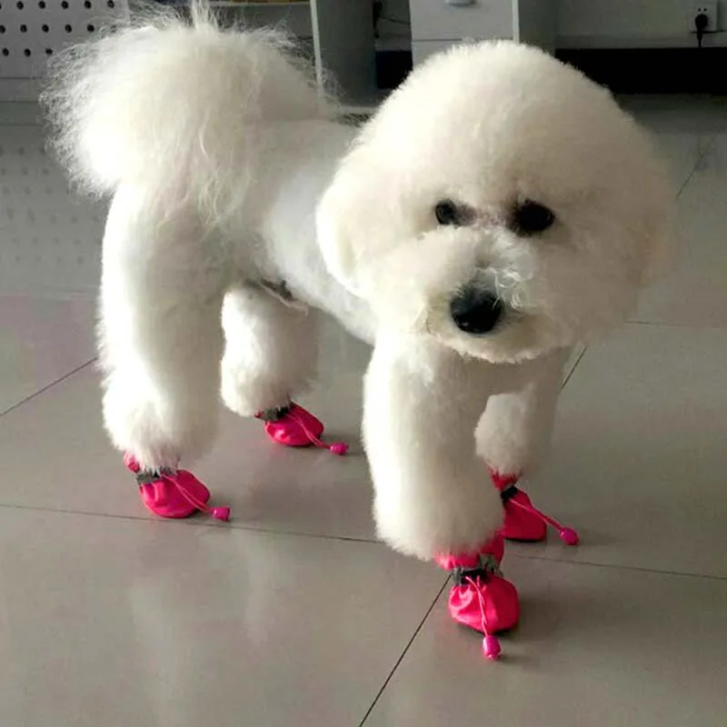 Pet Dogs Winter Shoes Rain Snow Waterproof Booties Socks Rubber Anti-slip Shoes For Small Dog Puppies Footwear Pet Products Cute