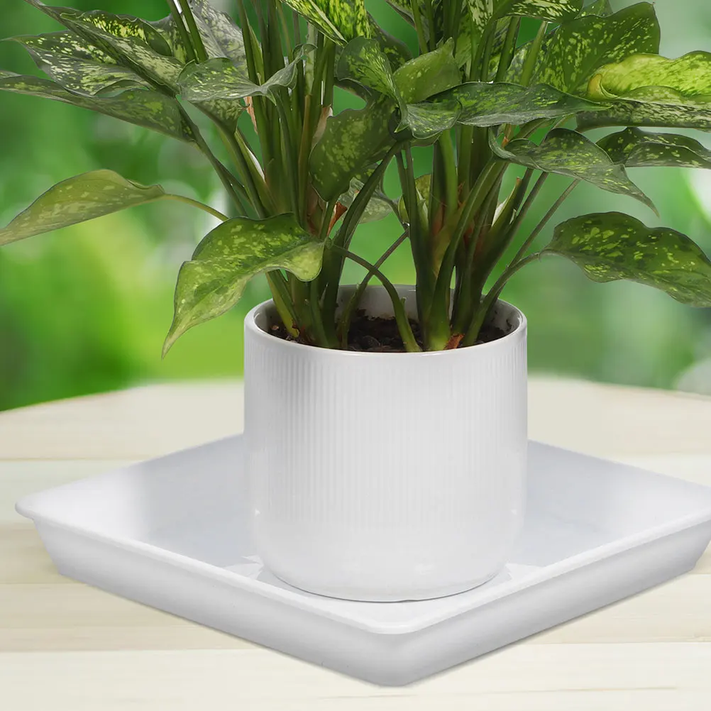 

2 Pcs Flower Pot Tray Succulent Bonsai Bottom Water Plastic Planter Catcher Saucers Square