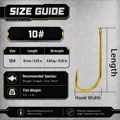 Size 10
