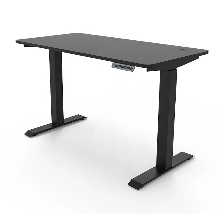 Ergonomic Dual Motor Stand Up Desk Electric Adjustable Table Height Adjustable Standing Desk