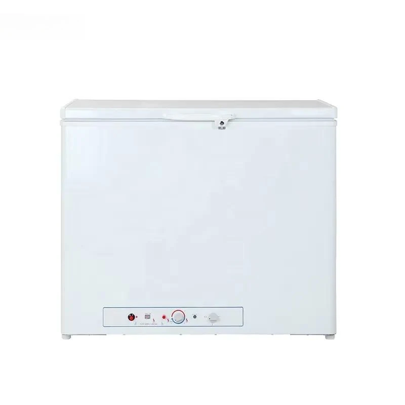 200L 12V 24V Butane LPG Gas Absorption Box Freezer High Quality Portable Refrigerator for Car RV Camping Outdoor Use