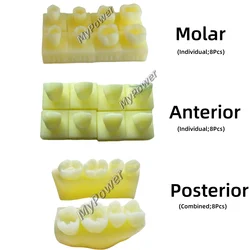 1Set Dental Composite Resin Teeth Filling Molar Anterior Cavity Hole Practise Model