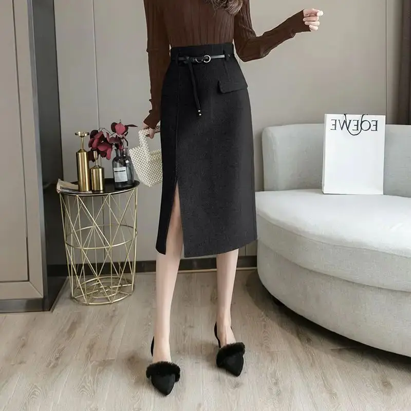 

Women Clothes Spring Autumn Fashion Korean Pocket Solid Color High Waist Female All-match Temperament Woolen Cloth A-line Skirt