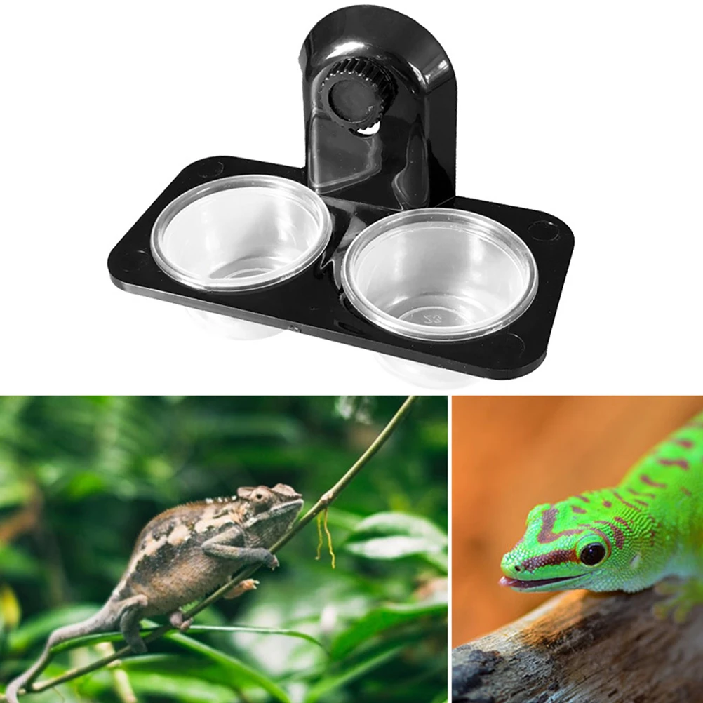 

1Pcs Double Grid Pet Reptile Feeder Thick Transparent Glass Cup Feeding Water Food Bowl for Lizard Turtle Cricket Scorpion