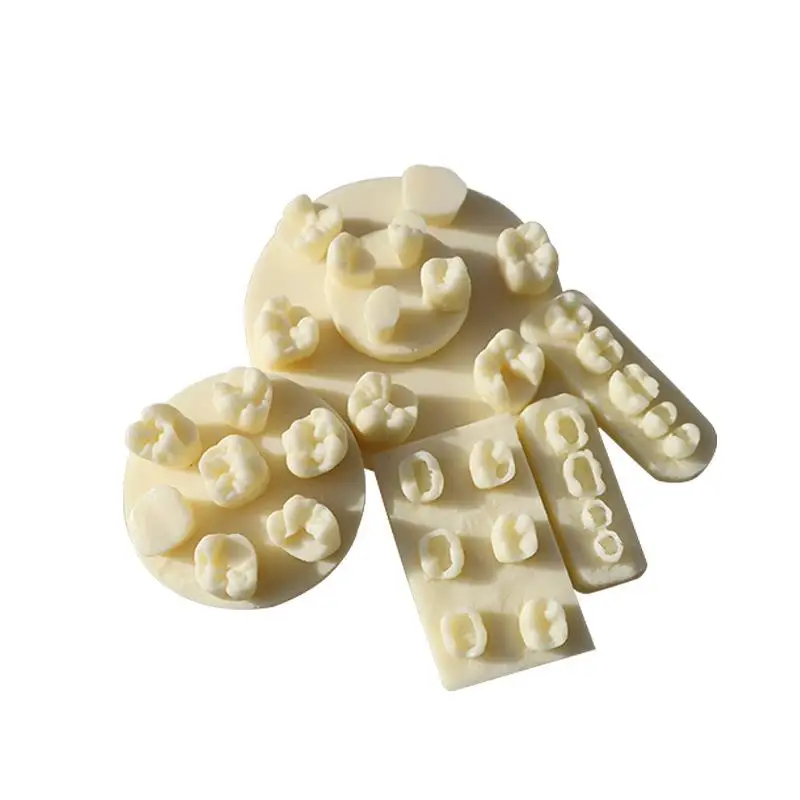 Tooth Morphology Resin Practice Model Root Canal Filling Inlay Module For Dental Teaching Training Tool