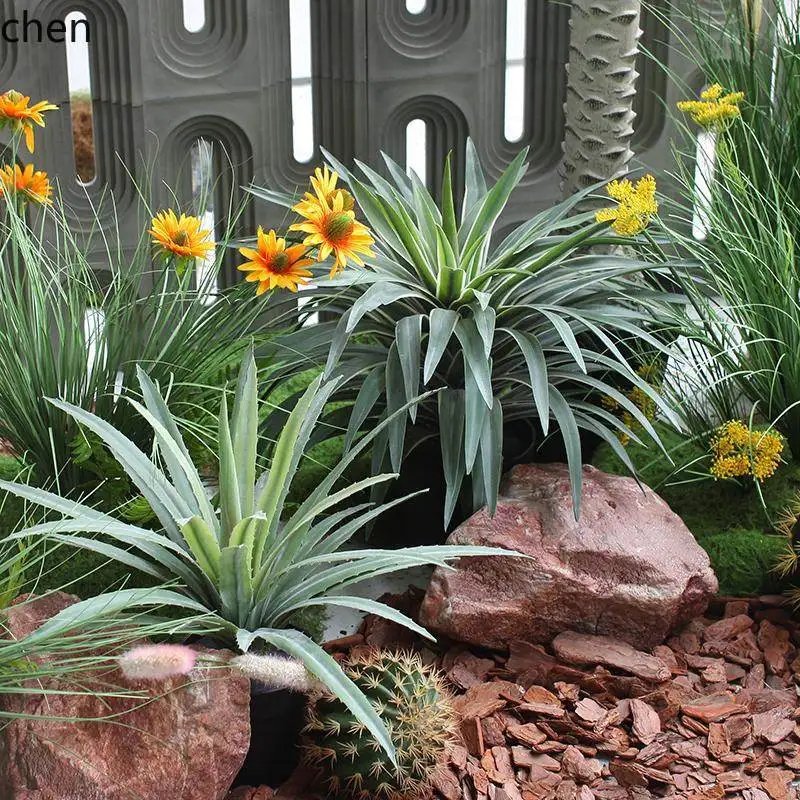 

PYH Succulent Plant Landscaping Cactus Plant Combination Landscape Staircase Corner Cafe Corridor