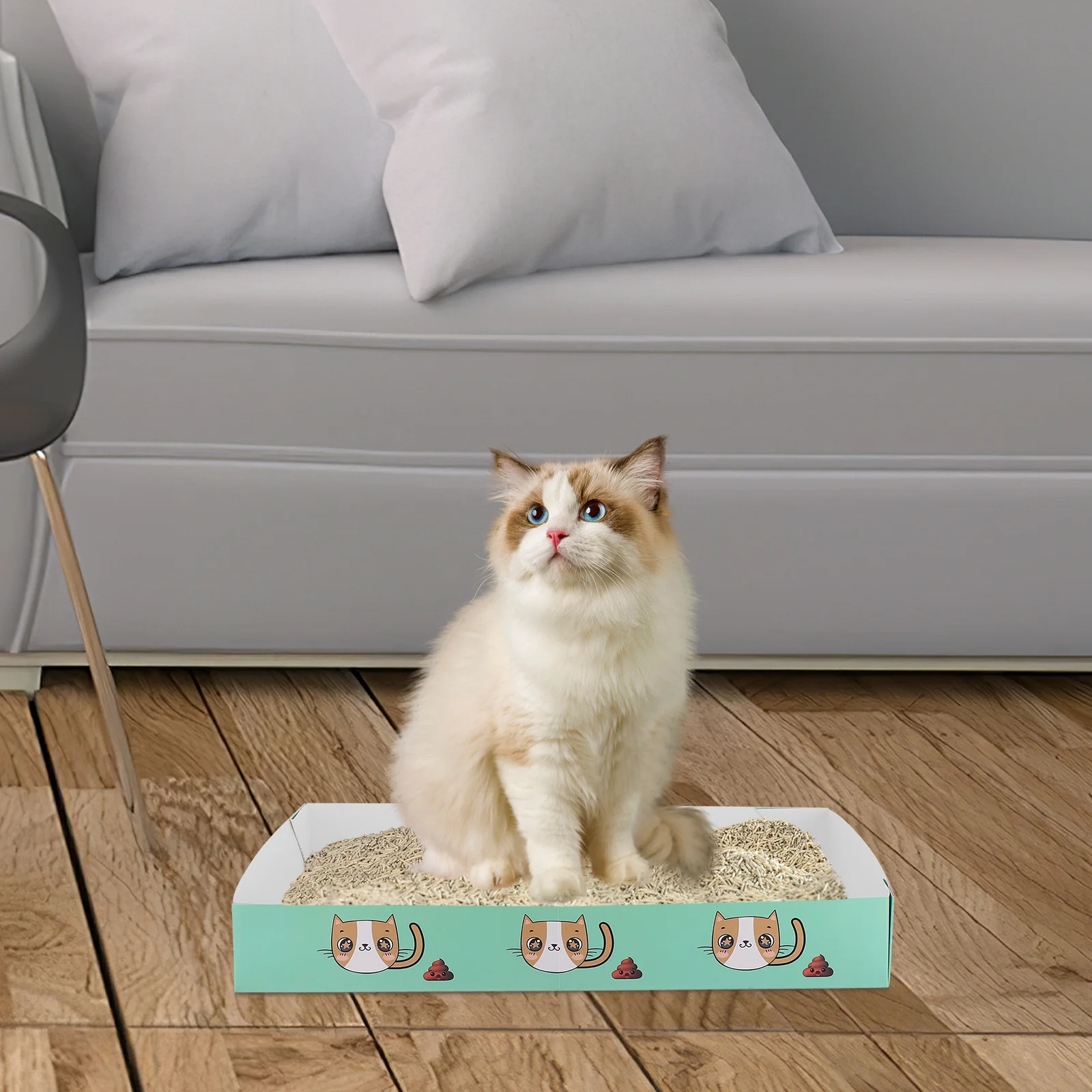 

Disposable Cat Boxes Paper Material Splash Guard Semienclosed Kitten Toilet Cat Toilet Training Homes Pet Stores