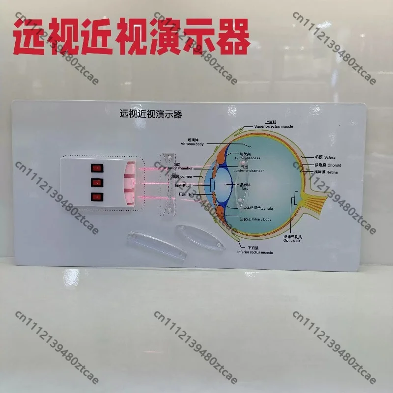 Metal Panel Myopia Hyperopia Demonstrator Eye Vision Analysis Display Board Optometry Teaching Prop Educational Tool