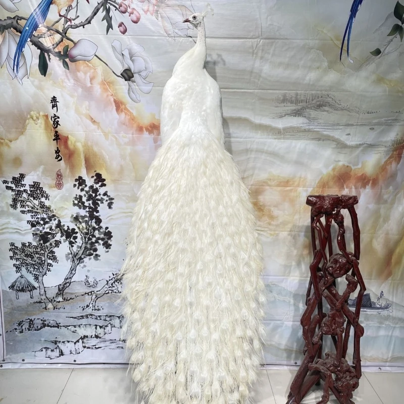

Peacock specimen ornament living room hotel decoration home handicrafts floor prop model