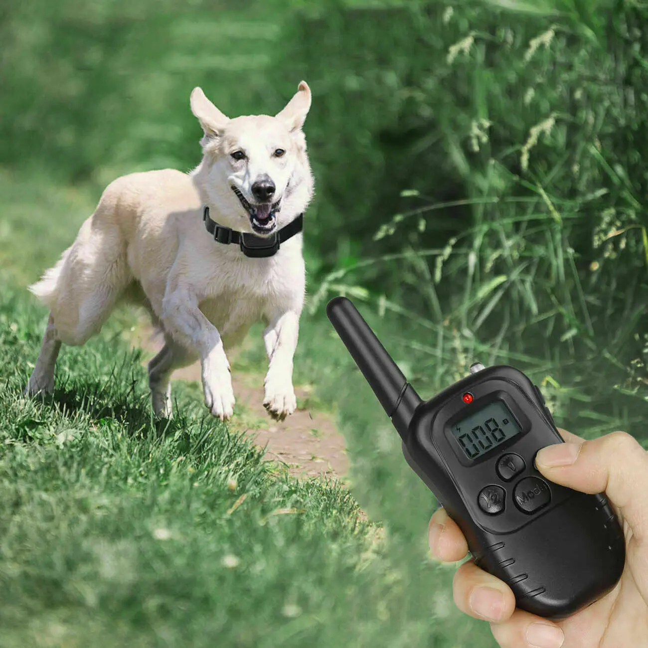 New smart Dog Shock Collar with Remote - [998D] Dog Training Collar for Large Medium Small Dogs Waterproof Rechargeable E Collar