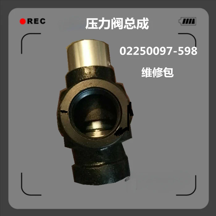 Screw Air Compressor Minimum Pressure Valve 02250097-598 Pressure Maintenance Valve Repair Kit