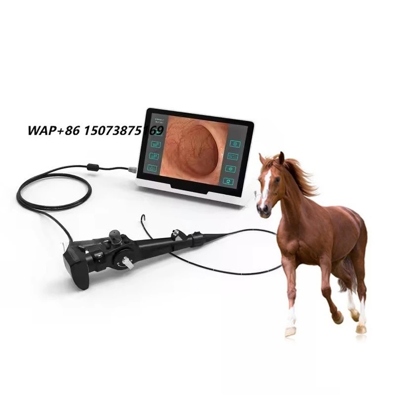 LHWTK12 Medical Multifunctional Veterinary Gastroscopy System Portable 1500mm Equine Endoscope
