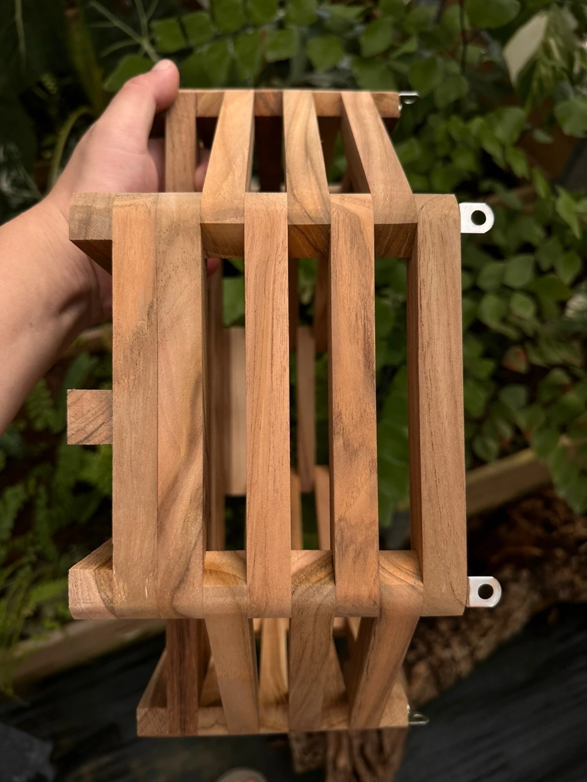 إطار خشبي أصيص زهور بوعاء، وعاء زهور بإطار، أوركيد، بانداي، قرش، وعاء زراعة