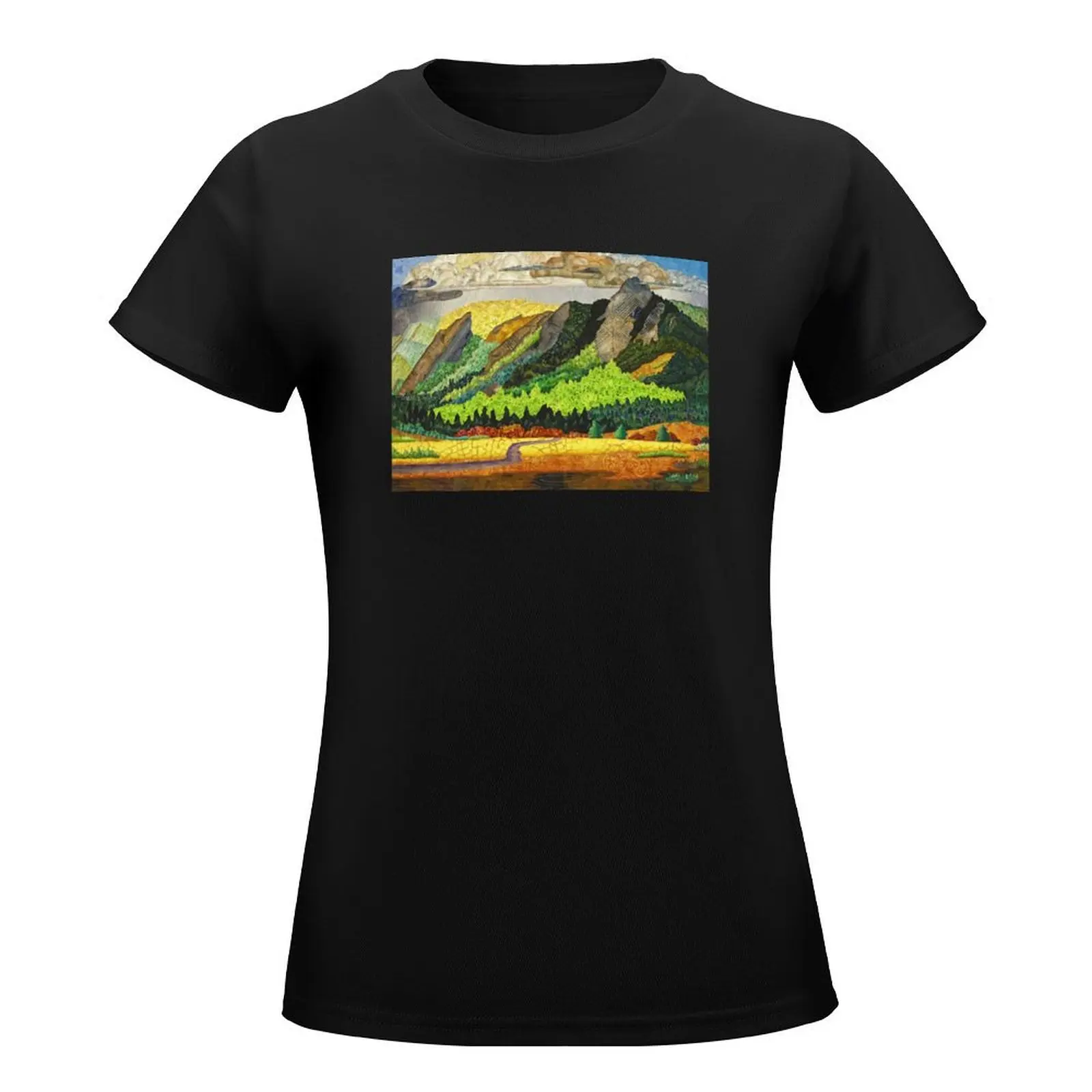 Flatirons Symphony T-Shirt Short sleeve tee female plus size tops t shirts for Women graphic